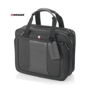 Bolsa Seguridad Portátil 15,4"